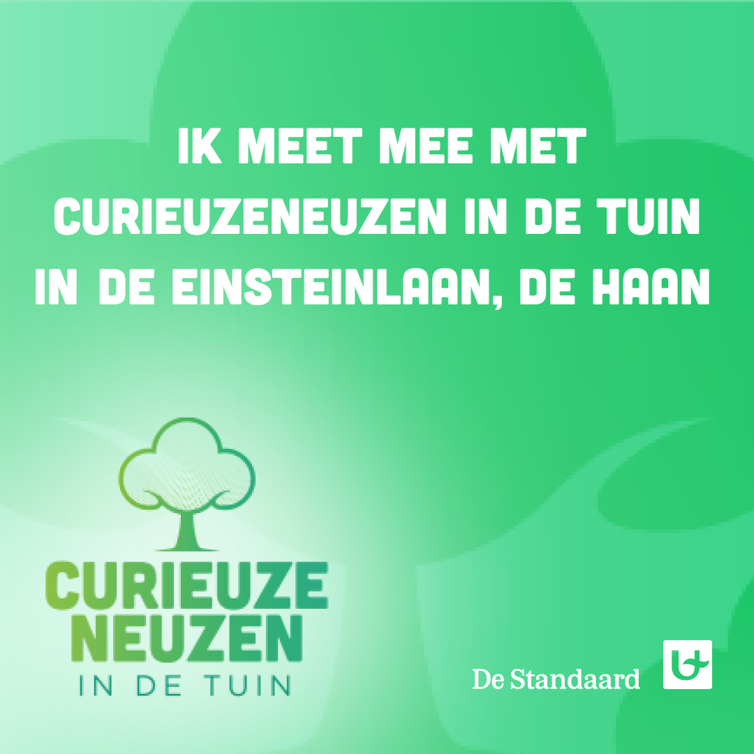 curieuzeneuzen in basisschool De Haan